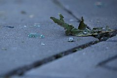 В поселке Афипском в Краснодарском крае упали обломки БПЛА